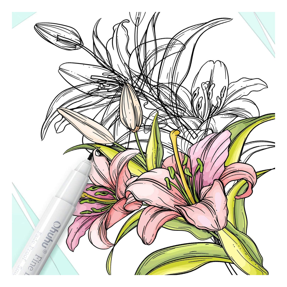 Floral line art showing fine and bold Ohuhu fineliner strokes